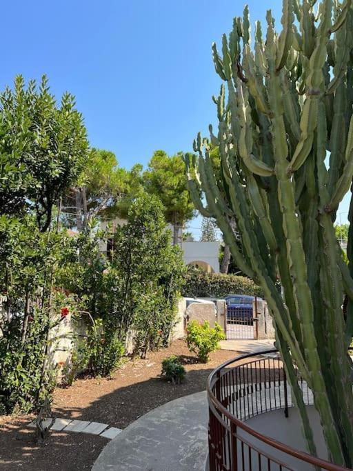 Villa Marika Fontane Bianche Dış mekan fotoğraf